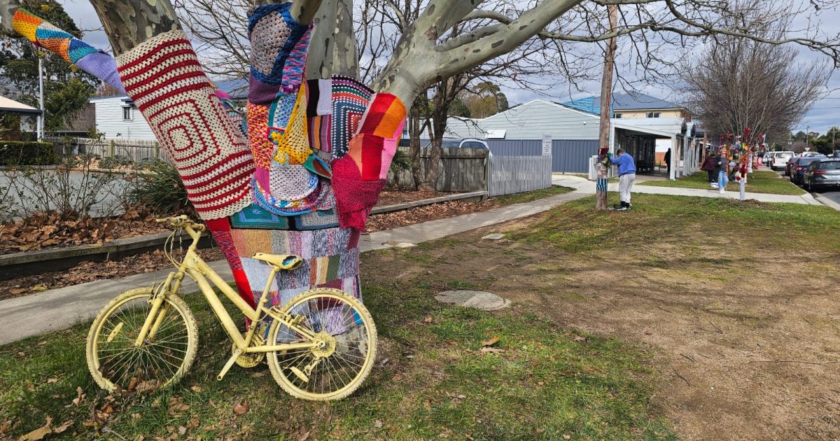 Yarn bomb goes off in Bungendore, bringing silly to the chilly season | Region Canberra Yarn bomb goes off in Bungendore, bringing silly to the chilly season | Region Canberra