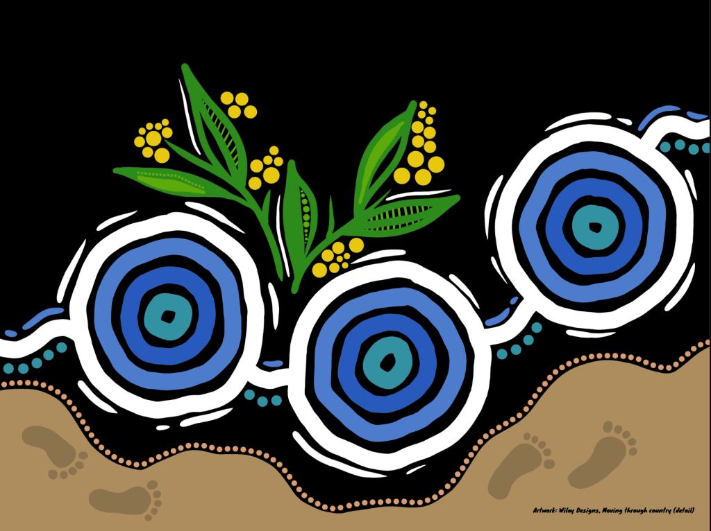 NAIDOC in the North 2025