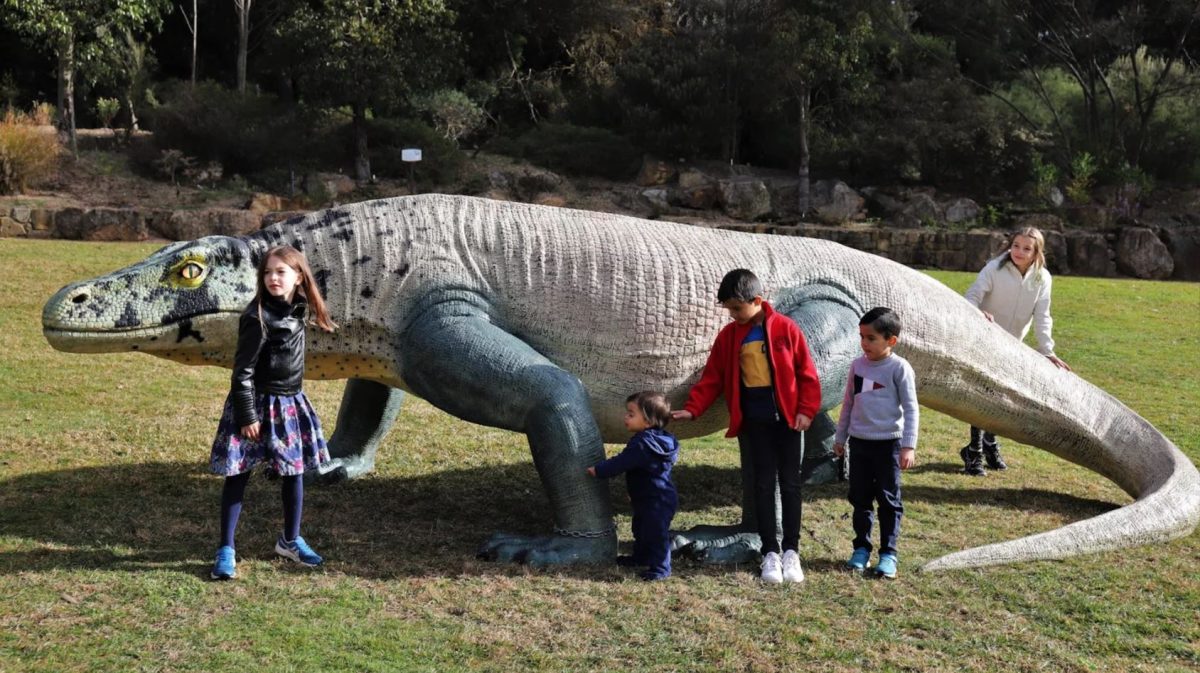 MEGAfauna: Look Alike