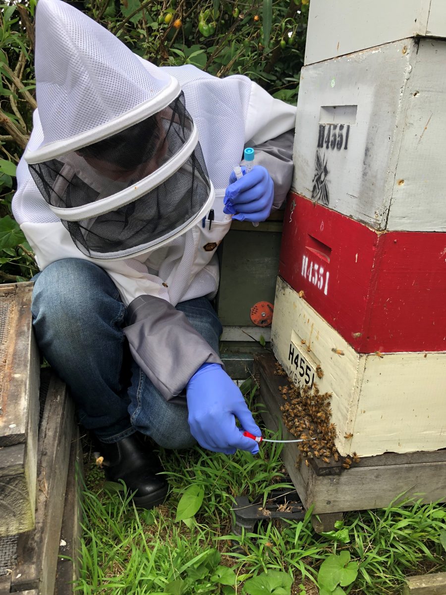 Bee biosecurity