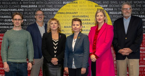 ANU and the tech industry launch diversity drive targeting STEM education