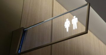 Before we welcome our new theatre, it’s time for a wee chat about toilets