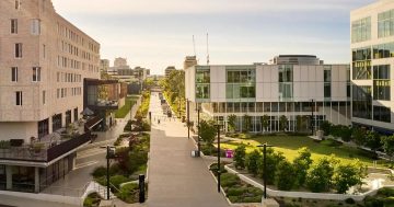 Degree of disparity: ANU, UC, UOW, CSU all slip in world rankings