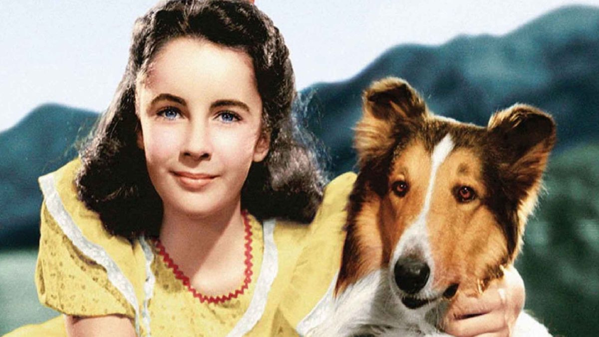 Screenshot from Lassie Come Home.