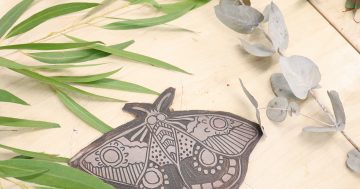 NAIDOC Week at Tuggeranong Arts Centre
