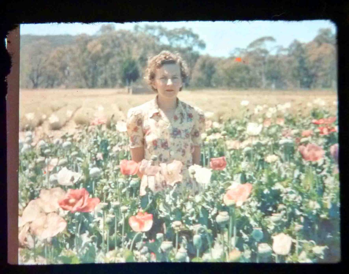 Moira Mayo (nee Hardy).