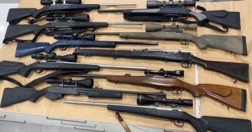 ACT police have already seized more than 2500 weapons this year