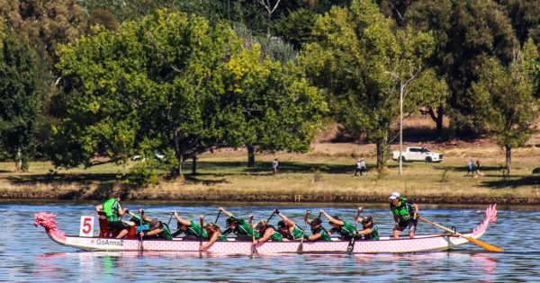 Canberra’s dragon boat community punches well above its weight heading into World Titles