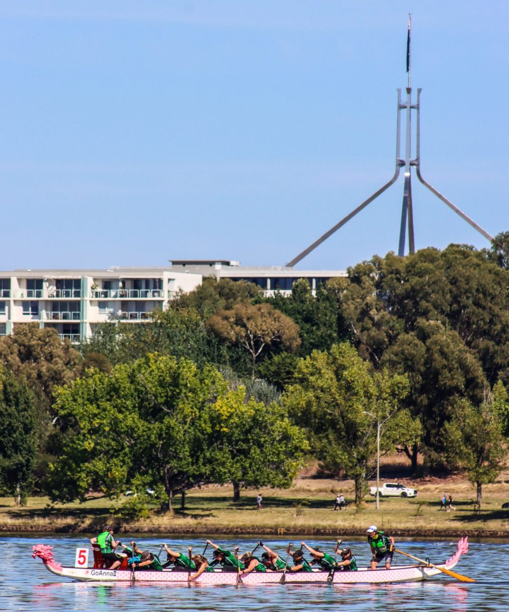 Dragon boat training on Lake Burley Griffin. Photo: Dragon Boat ACT.