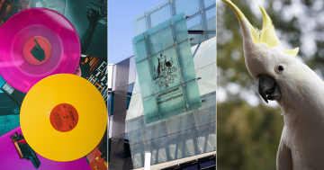 QUIZ: Do you know APS logos? Plus 9 other questions