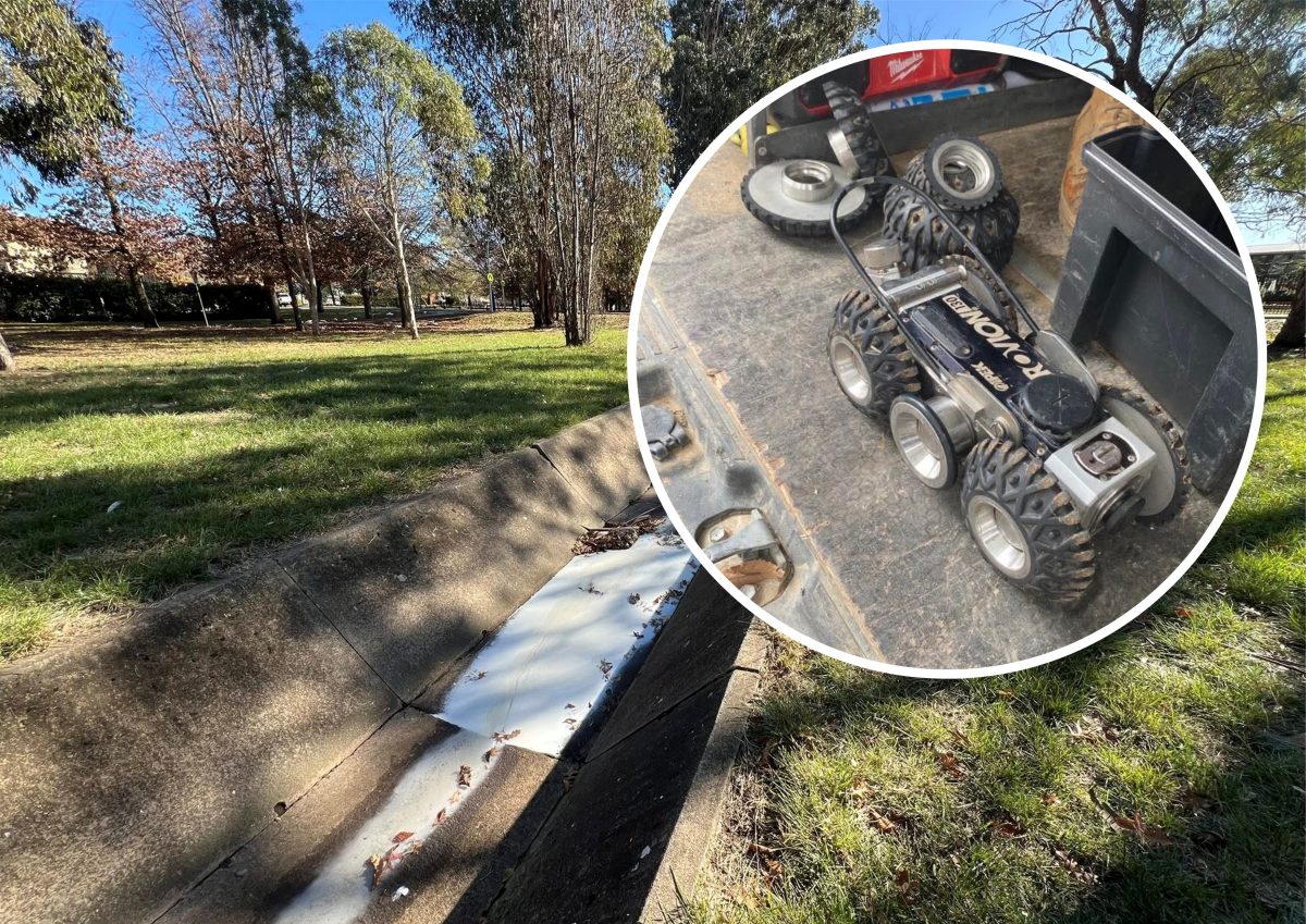Robot camera and Yarralumla Creek
