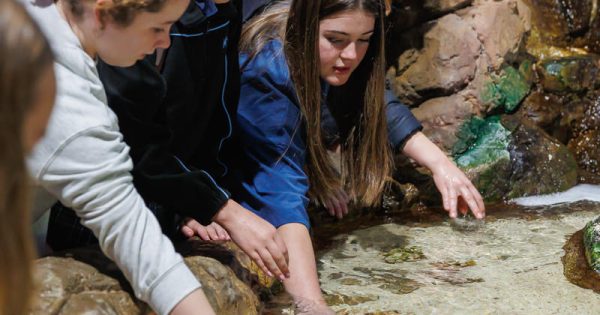 Zoocation - The school holiday program with a difference!