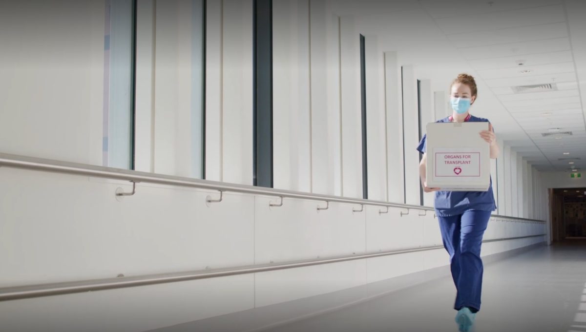A masked nurse in a corridor hospital carries a box of organs