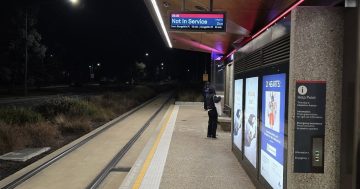 Ice causes delays, cancellations of light rail services