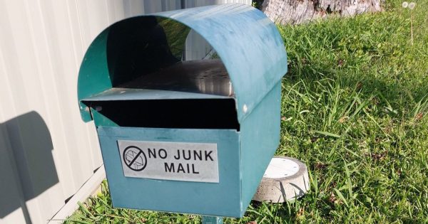 Lamenting the letterbox - a lack of snail mail opens the way for a spider safe house