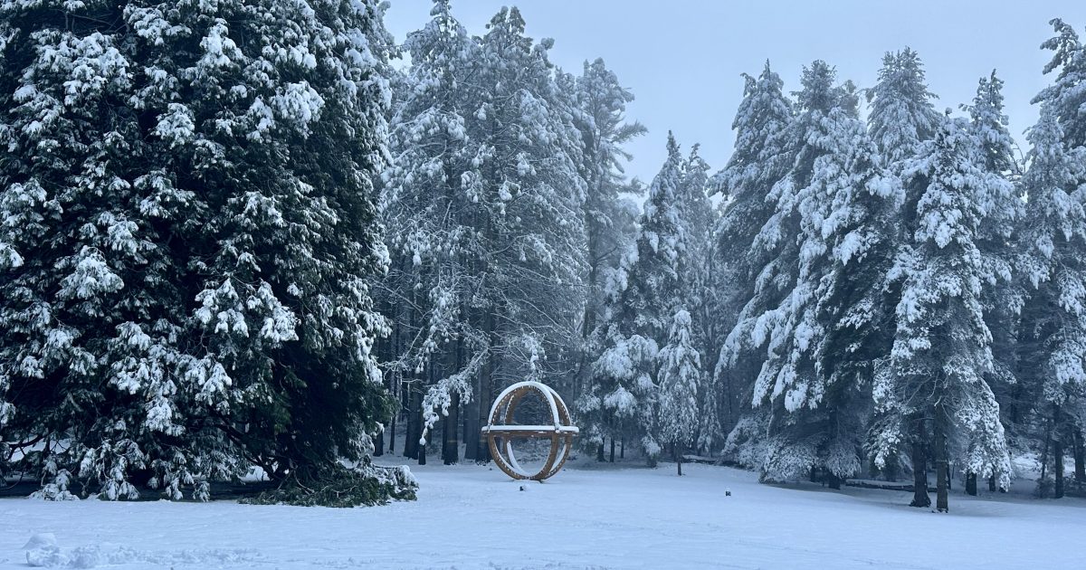 Snowy Valleys Sculpture Trail launches winter photography competition | Region Canberra