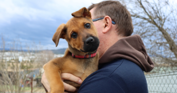 RSPCA ACT’s Pets of the Week – Wilma and Ariel