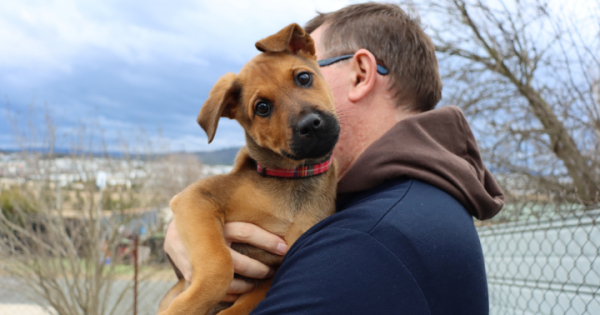 RSPCA ACT’s Pets of the Week – Wilma and Ariel