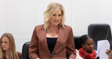 Liberals to challenge government bid to keep high-profile business cases secret