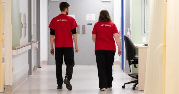 Independent examination of ACT's health system data, demand and processes begins