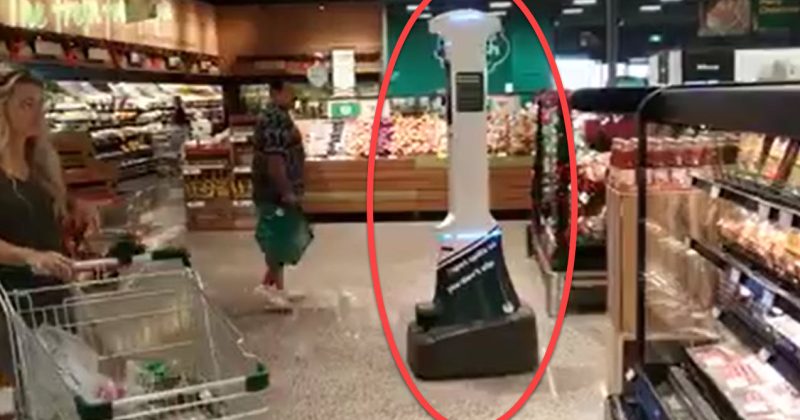 What happened to Canberra's polarising Woolies robots?