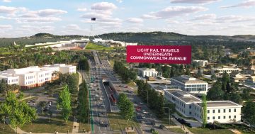 'Save the Bridge. Save the Avenue': Submission proposes alternative light rail route