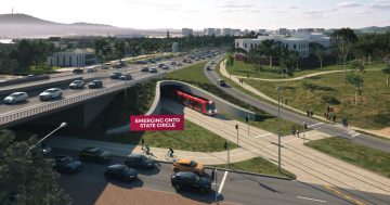 Rapid buses, trackless trams off the table for light rail stage 2B