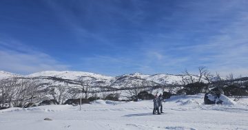 The best snow season in years continues to deliver