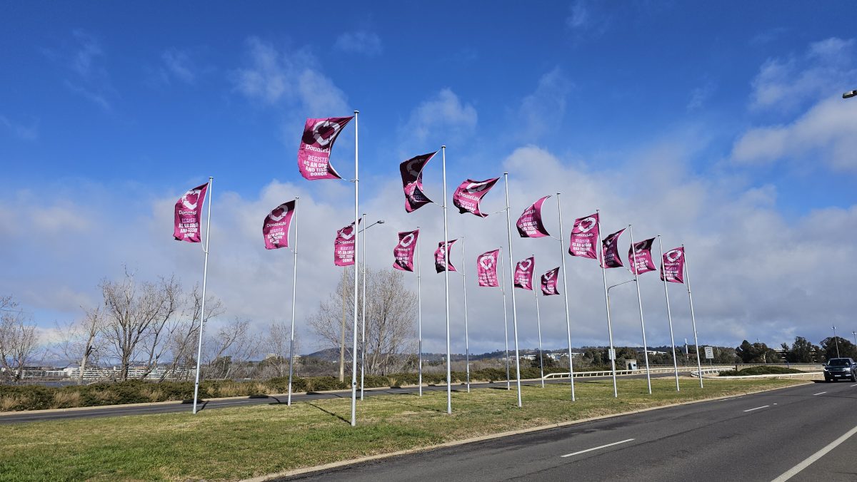 Donate life flags on Kings Avenue