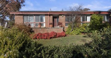 Auction results 14 - 20 July 2025