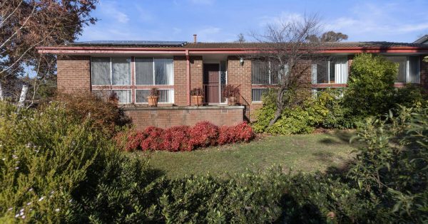 Auction results 14 - 20 July 2025