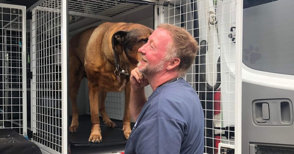 Canberra pet ambulance hangs up the keys after 19 years helping our animal friends | Region Canberra