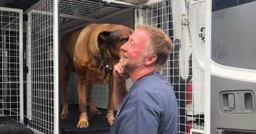 Canberra pet ambulance hangs up the keys after 19 years helping our animal friends