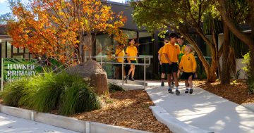 Confusing ACT education system leaving parents in despair, P&C association says