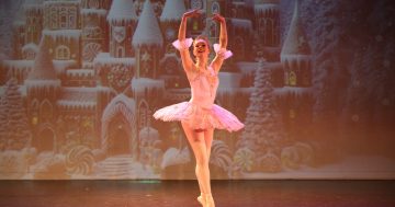 Things to do in Canberra this week (11 - 17 July)