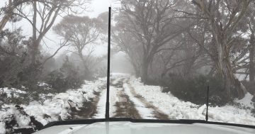 UPDATED: Plane wreckage found in Snowy Mountains
