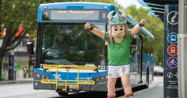 Still no date in sight on new Stadium, Bruce precinct plan, as sporting event buses come under fire
