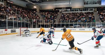 If you build it they will come: how the Canberra Brave turned AIS Arena into an icy field of dreams