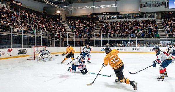 If you build it they will come: how the Canberra Brave turned AIS Arena into an icy field of dreams