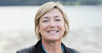 Former Narooma Oyster Festival chair on the importance of regional events - and the challenges