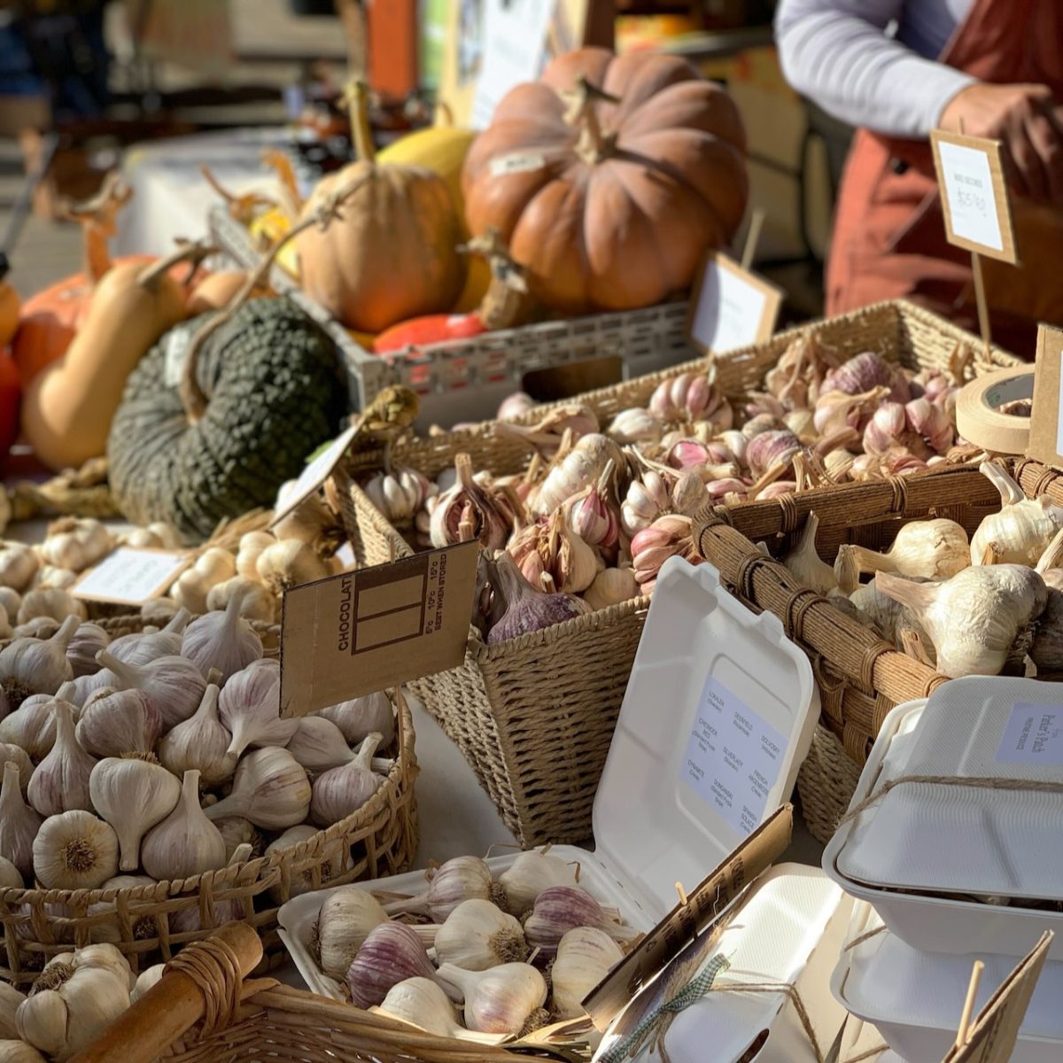 A table loaded with garlic and pumpkins