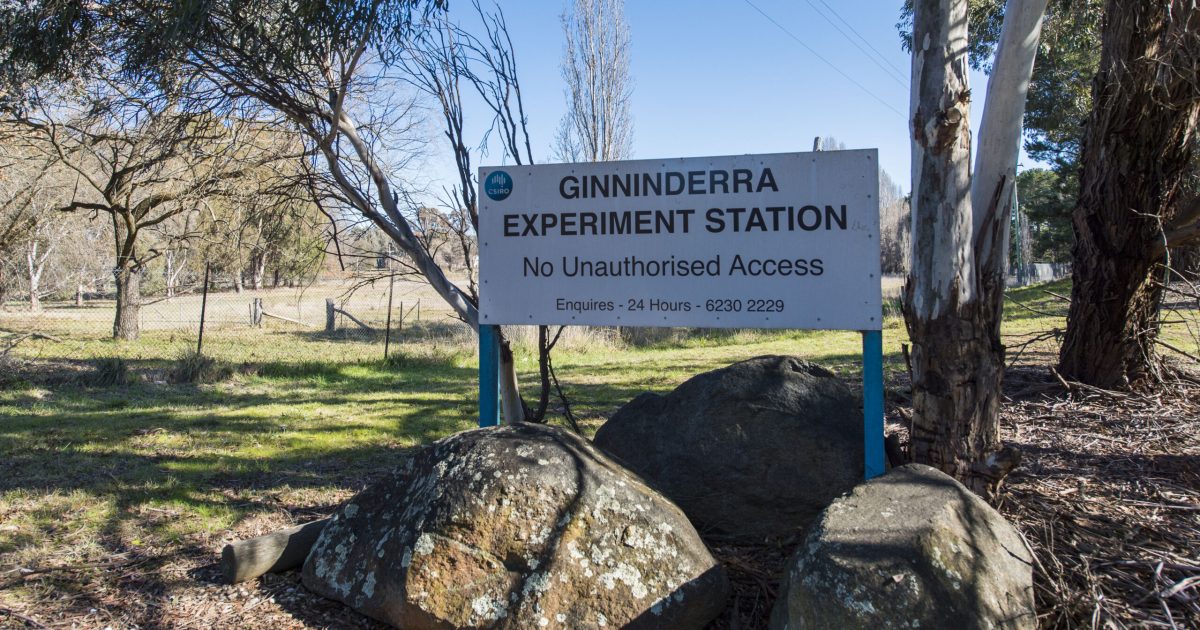 A scoping study of the CSIRO Ginninderra land shows the ACT Government was in an advanced state of preparedness for…