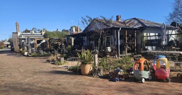 Jeeperz Creaturez brings welded cool stuff to Bungendore’s Old Joinery Lane