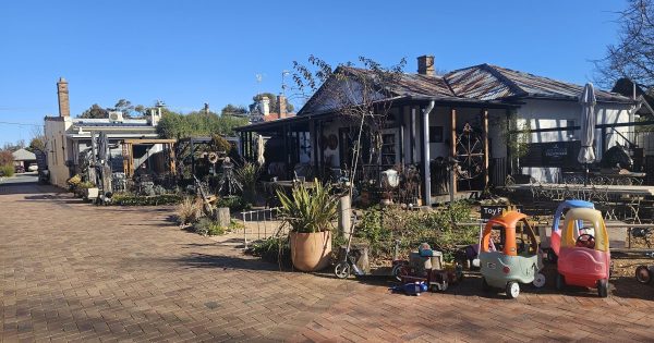 Jeeperz Creaturez brings welded cool stuff to Bungendore’s Old Joinery Lane