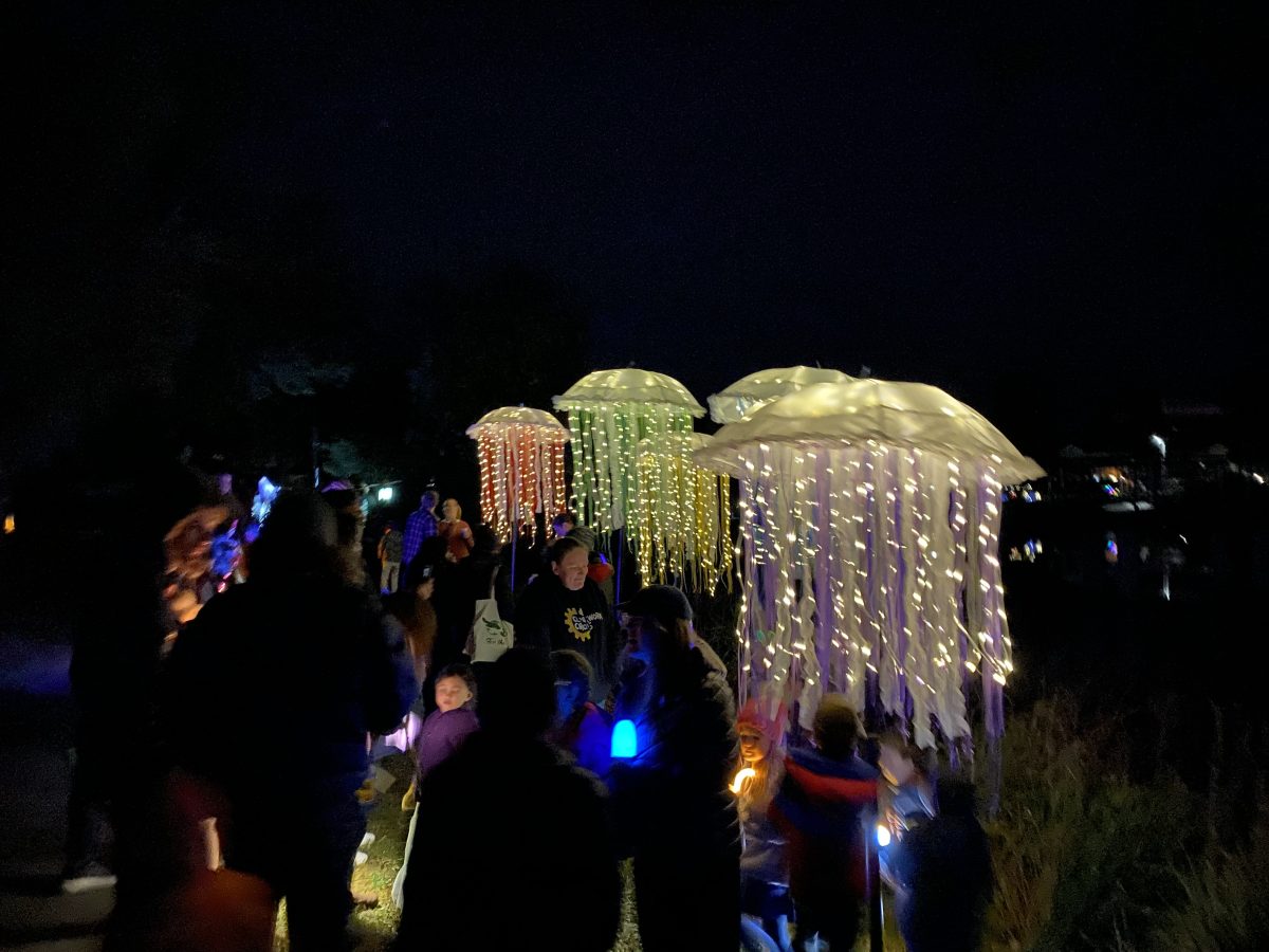 A light installation of jellyfish made from umbrellas.