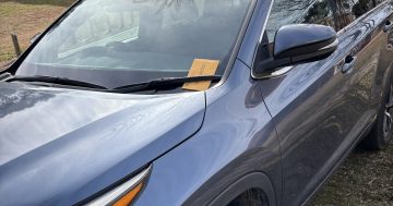 Kanga Cup attendees gutted by 'cheeky' government parking blitz