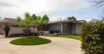 The Look In with Andrew Chamberlain: Canberra’s love of mid-century modern
