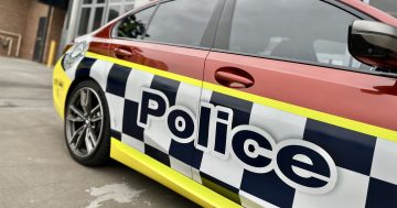 Distracted drivers delay too many emergency vehicles: ACT authorities issue urgent warning