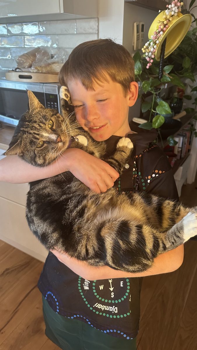 A young boy holding a cat in his arms