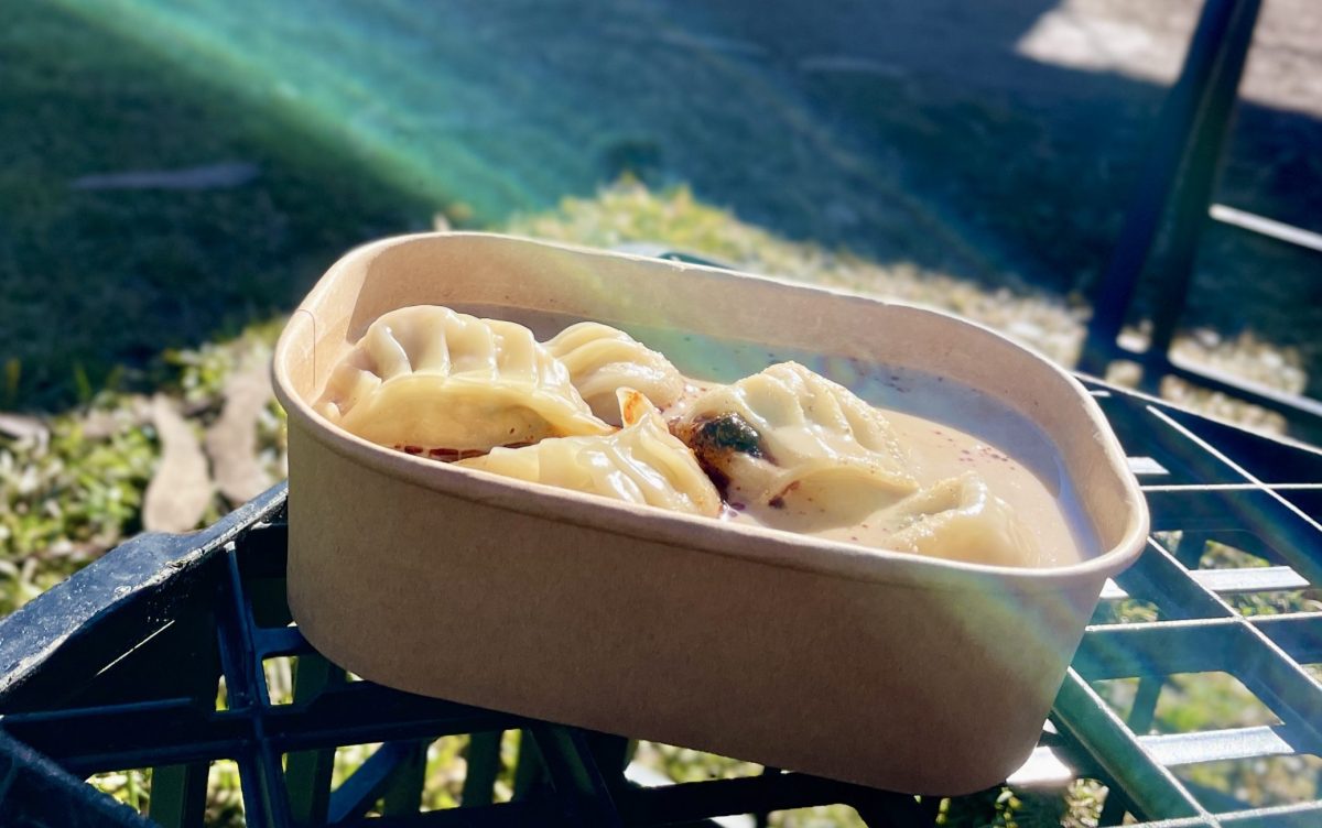 A take away container filled with dumplings in a light red soup. The container is on a milk crate and there is a streak of sunlight.